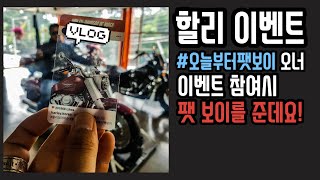 [바이크 Vlog] 할리데이비슨 팻 보이 이벤트와 구독자 500명 이벤트 선물 준비!