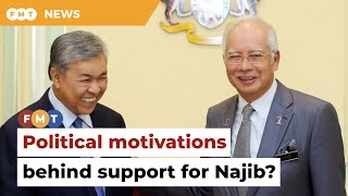 Analyst warns of political motivations behind support for Najib