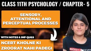 Sensory, Attentional and Perceptual Processes Class 11 Psychology Chapter 5 One Shot Explanation