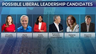 Who will replace Justin Trudeau as Liberal party leader? Here are the top contenders