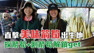 直擊美味箭筍出生地 採箭筍+剝箭筍解鎖get ft.花蓮縣光復鄉公所 【花蓮玩咖#14】