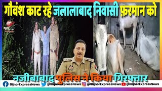 गौवंश काट रहे जलालाबाद निवासी फ़रमान को नजीबाबाद पुलिस ने किया गिरफ्तार