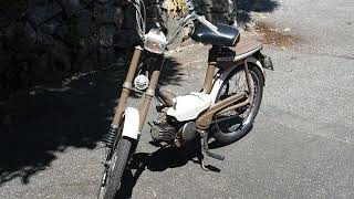 Honda PF50 Moped