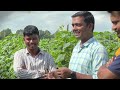 खीरे की खेती का सही मैनेजमेंट बरसात में खीरे खेती cucumber farming 🥒