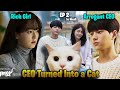 Rich CEO Boy turned into cat and falls in love with a cute girl #kdrama