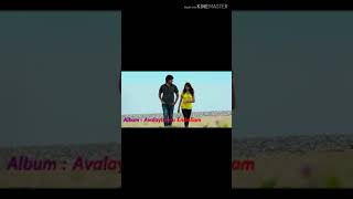 Shafeeq chennamangallur New Cut Song  Album - Avalayirinnu Enikellam  Singer- sameer thaliparamba