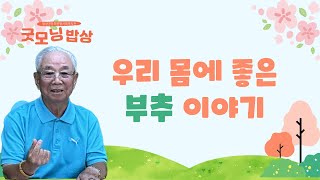 [굿모닝밥상] 우리 몸에 좋은 부추 이야기