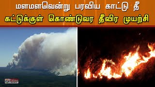 கொடைக்கானலில் மளமளவென்று பரவிவரும் காட்டு தீ..! கட்டுக்குள் கொண்டுவர  தீவிர முயற்சி..