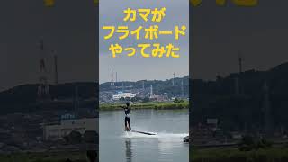 ニューハーフがフライボードやってみた　#Shorts