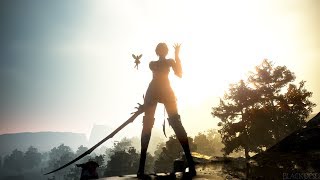 Black Desert【黒い砂漠】リマスターモード