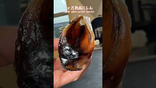 ニシン1ヶ月越えはちょっとだけヤバかったよover 1 month aging pacific herring.