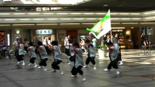 純大恋　2011　神戸よさこい　デュオこうべ会場