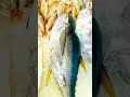 UAE fish market #music #habibi #mufas #fishing #uaefood #viralvideo #mallu