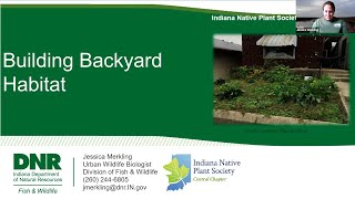 Building Backyard Habitat, with Jessica Merkling