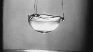 Liquid Helium II the superfluid (part 5 The Rollin film)