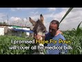 donkey rescue in israel if you liked the video please share it. story