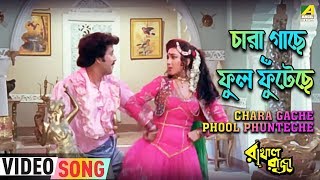 Chara Gache Phool Phunteche | Rakhal Raja | Bengali Movie Song | Kavita Krishnamurthy