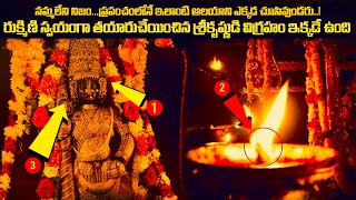 రుక్మిణి తయారుచేయించిన శ్రీకృష్ణుడి విగ్రహం ఇక్కడే ఉంది..! DIVINE history of UDUPI SRI KRISHNA