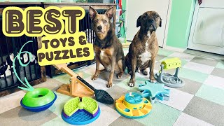 Which Dog Puzzle Toy is Worth It? I Tested & Rated Them!