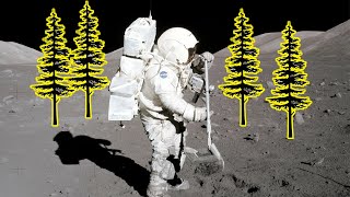 The Story of the 500 Trees That Have Been To The Moon