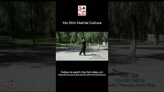 Bagua Zhang Ten Minute Primer - Foundational Basic Skills (Part 3) #shorts #baguazhang #kungfu