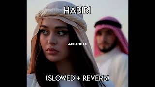 dj gimi-o X habibi - (slowed + reverb)