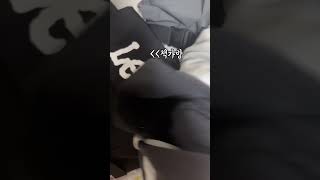 수학 점수가 210점이 나온다고?ㅋㄱㅋㄱㅋㄱㅋㅋ #시험점수 #윗유하우스