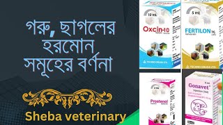 গবাদি প্রাণীর বিভিন্ন হরমোন সমূহের বর্ণনা। Animals Hormone.