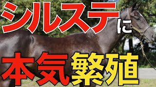 【最高の評価】ノーザンファームもシルバーステートに本格参戦か！ドウデュース母を種付け。