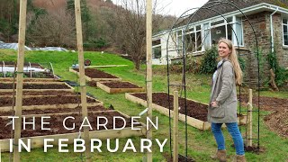 The Garden in February