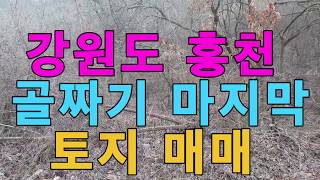 강원도 홍천 골짜기 마지막 토지 매매 370평 6500만 산중이며 자연환경 좋음