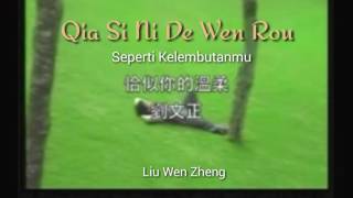 Qia Si Ni De Wen Rou With Lyrics