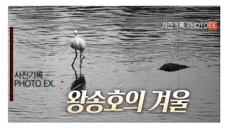 왕송호의 겨울 [PLACE] 가볼만한 곳 - 왕송호수