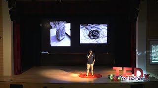 Digital divide faced by the elderly in this internet age. | Harley DUAN 段浩林 | TEDxYouth@QDHS