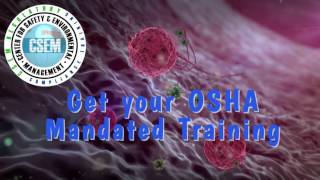 Bloodborne Pathogens 29 CFR 1910 1030