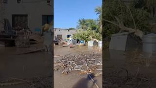 Terrifying floods destruction | Real footage #floods #flooding #flood #disaster #viral #trending