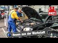 HV-Fehler im BMW 7er Hybrid! 6.800€?!?! 🔋🙄 | Audi A4 nur auf 3 Zylindern! Zündaussetzer?