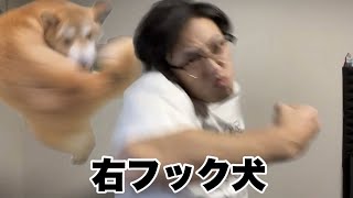 おもしろい動物のモノマネ集