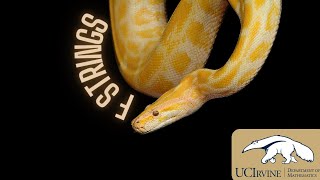 f strings | Pythonic Code Part 2