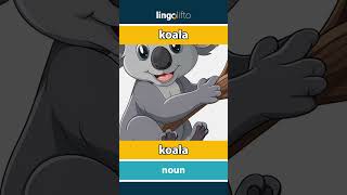 🇬🇧🇩🇰 koala - koala : vocabulary builder : learn English : Lad os lære engelsk