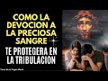 Jesucristo Revela esta Devoción a la Preciosa Sangre para Nuestra Protección en la Tribulación