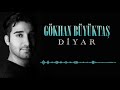 gökhan büyüktaş erzincan ın gülü diyar © 2019 İber prodüksiyon