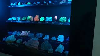 Lapworth Museum of Geology Birmingham 2022 | Crystal collection