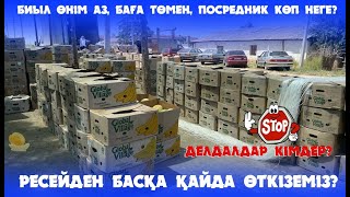 Қауын қарбыз бағасы неге төмен? / Биыл өнім аз, баға төмен, посредник көп неге?