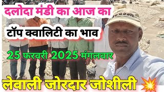 दलोदा मंडी आज का सुपर ऊटी लहसुन का भाव,25 फरवरी 2025 मंगलवार |