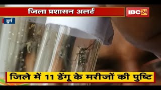 Durg District में 11 Dengue के मरीजों की पुष्टि | जिला प्रशासन अलर्ट