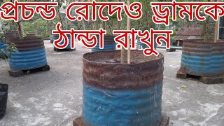 প্রচন্ড রোদের ছাদ বাগানের টব বা ড্রাম গরম হয়ে যাই এখন সমাধান কি ? । লেবু/মাল্টা/কমলা গাছের পরিচর্যা