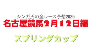 2月12日名古屋競馬【全レース予想】2025スプリングカップ