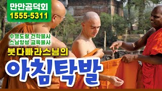 [2월 20일,  붓다빠라 스님의 아침탁발(불교, 수행, 명상)] 붓다의 직계제자4- 붓다의 영원한 시봉 아난다 존자 16,  마하까싸빠 존자의 아난다 존자 구출작전.