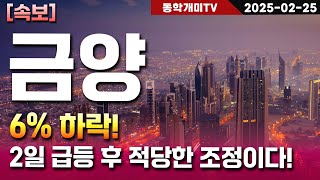 금양-6% 하락! 2일 급등 후 적당한 조정이다!